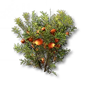 荞花