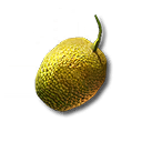 シトロームの種